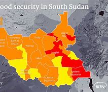 Image result for South Sudan Dcrnpi Logo