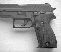 Image result for Sig Mosquito 22LR for Sale