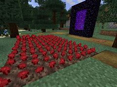 Image result for Nether Wart Farming