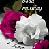 Image result for Sunday Morning Greetings Quotes