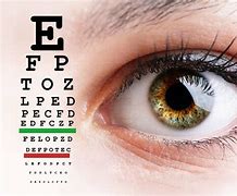 Image result for Eye Care Optical