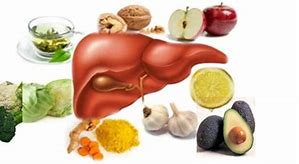 Image result for How to Maintain Liver Health