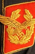 Image result for Luftwaffe General Uniform