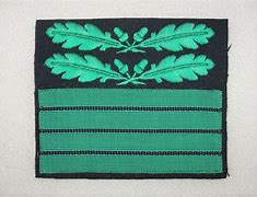 Image result for Nazi Army Rank Insignia