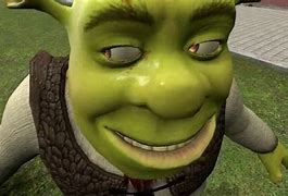 Image result for Cool Shrek