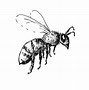 Image result for Cute Bee Pencil Drawing