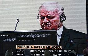 Image result for Mladić
