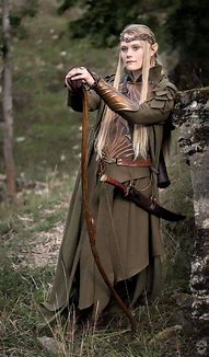 Image result for Elven Cosplay Costumes