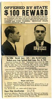 Image result for 20s Gangster Wanted