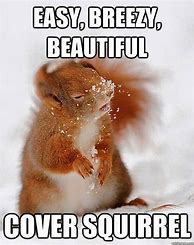 Image result for Easy Breezy Beautiful Cover Squirrel