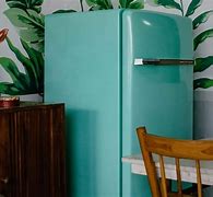 Image result for Counter-Depth Refrigerators in Homes