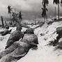 Image result for Battle of Tarawa