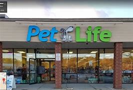 Image result for Puppy Stores Near Me