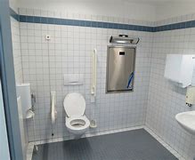 Image result for Handicap Toilets