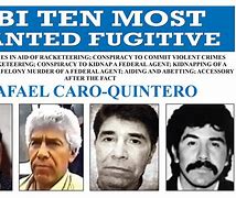 Image result for Top 10 Most Wanted Terrorists