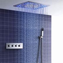 Image result for Shower Head From Ceiling or Wall