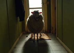 Image result for Horror Movie Sheep Gun Scene