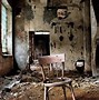 Image result for Food Decay
