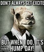 Image result for Funny Wednesday Hump Day Coffee
