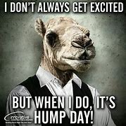 Image result for Good Morning Hump Day Funny Memes