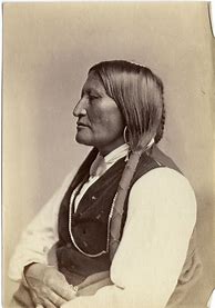 Image result for Native American 1800s