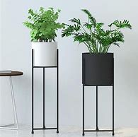 Image result for 48 Inch Tall Plant Stands