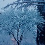 Image result for Blizzard Snow Storm at Night