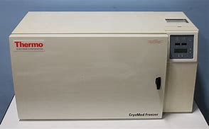 Image result for Thermo Freezer