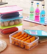 Image result for Frozen Food Container