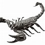 Image result for Black Scorpion Clip Art