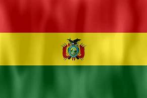 Image result for bolivia flag patch