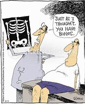 Image result for Funny X-ray Cartoon