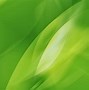 Image result for Lime Green Scenery