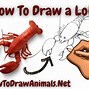 Image result for Realistic Lobster Drawing
