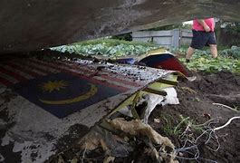 Image result for Malaysia Ukraine Bodies