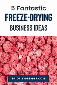Image result for Deep Freeze for Sale