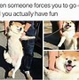 Image result for Funny Memes for Someone Having a Bad Day