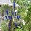 Image result for Funky Garden Art Made From Junk