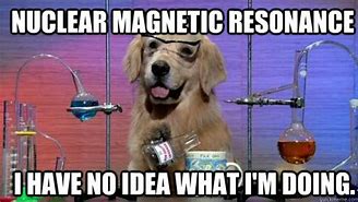 Image result for Chemistry Dog Meme