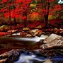 Image result for Autumn Fall Leaves Water