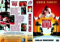 Image result for Beverly Hills Ninja Funny Pictures