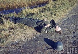 Image result for World War 2 Dead Soldiers Photos
