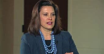 Image result for Government Whitmer