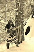 Image result for Old Time Fur Trappers