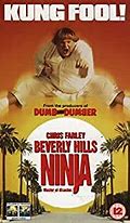 Image result for Beverly Hills Ninja Movie VHS