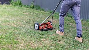 Image result for Best Hand Push Lawn Mowers