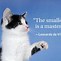 Image result for Cat Saying O