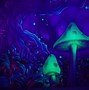 Image result for Trippy Smoke