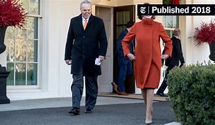 Image result for Christine Pelosi in a Dress
