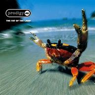 Image result for Prodigy Fat of the Land Album Cover